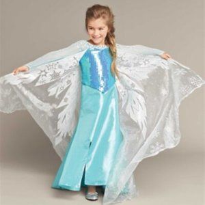 Elsa Frozen Costume - Disney & Chasing Fireflies - Sz 4 6 6X Princess Queen Ice